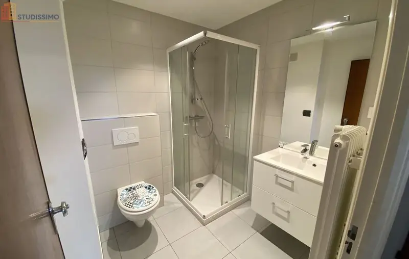 Studio 41m² Colmar - étage 3, DPE D - Photo 3