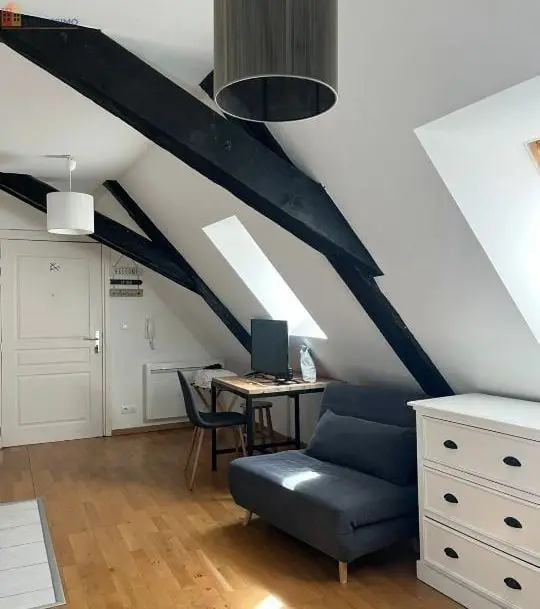 Studio 18m² Colmar - Meublé, 1 pièce - Photo 5