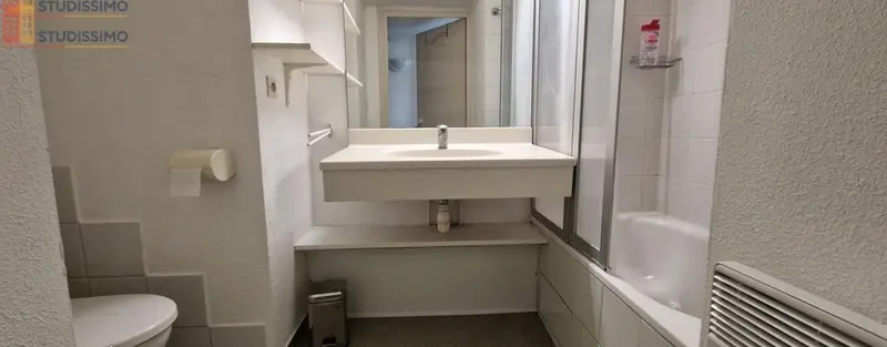 Studio meublé 18m² Mulhouse 68100 - Meublé, DPE C - Photo 1
