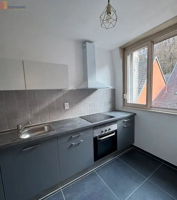 Studio meublé 34m² Thann - Lumineux, rénové - Photo 2