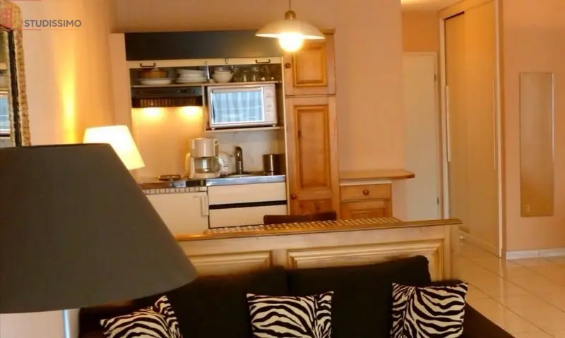 Studio meublé 40m² Haguenau - Meublé, dans résidence - Photo 2