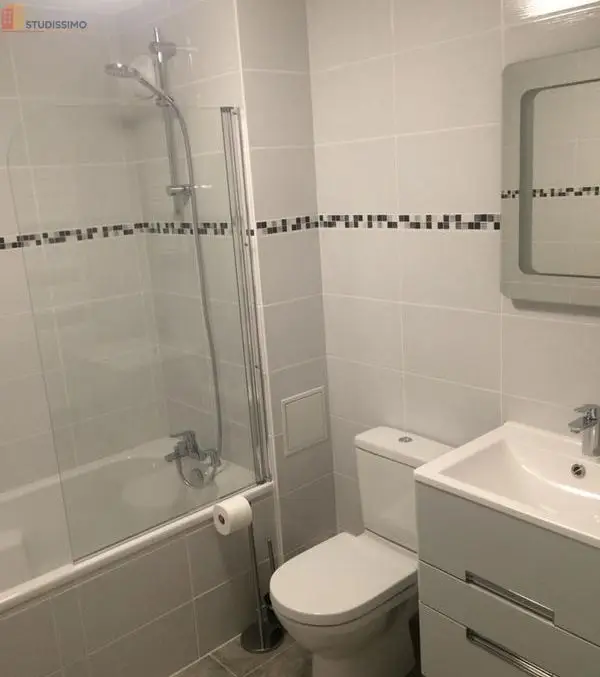 Studio 34m² Mulhouse centre - Rénové, zone piétonne - Photo 1
