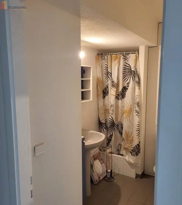 Studio meublé 25m² Strasbourg Robertsau - Meublé, lumineux - Photo 1
