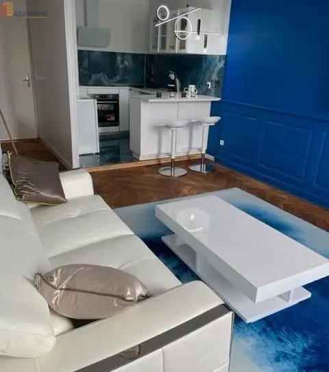 Studio meublé 35m² Strasbourg - Lumineux, DPE C - Photo 1