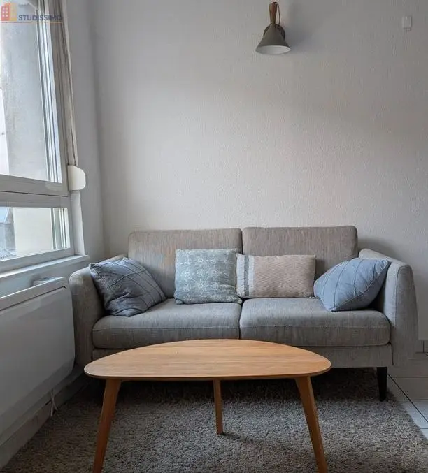 Studio meublé 26m² Mulhouse centre - Piéton, lumineux - Photo 2