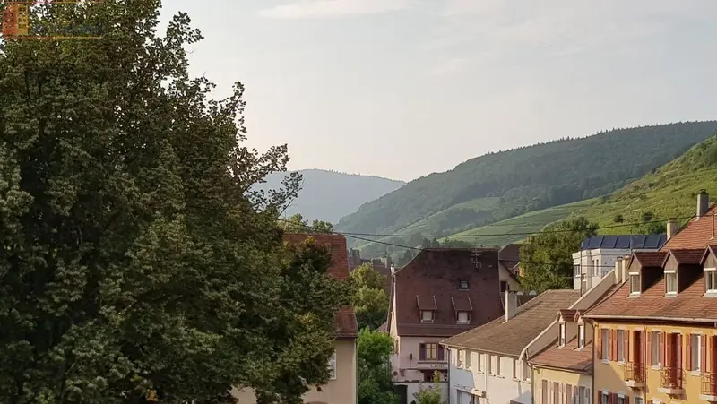 Studio meublé 24m² Guebwiller - Proche parcs, calme - Photo 1