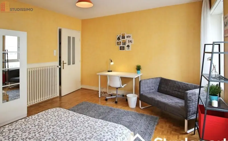 Studio meublé 15m² Strasbourg - Lumineux, DPE A - Photo 3