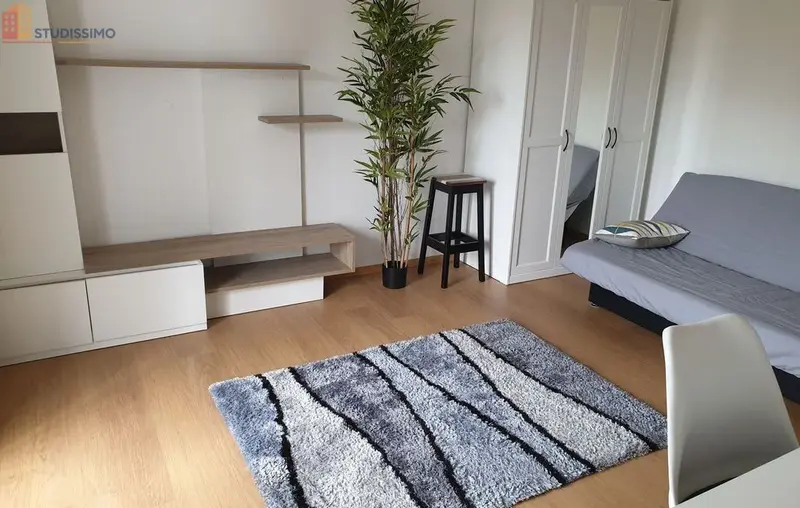 Studio meublé 30m² Mulhouse 68200 - Belle surface, lumineux - Photo 1