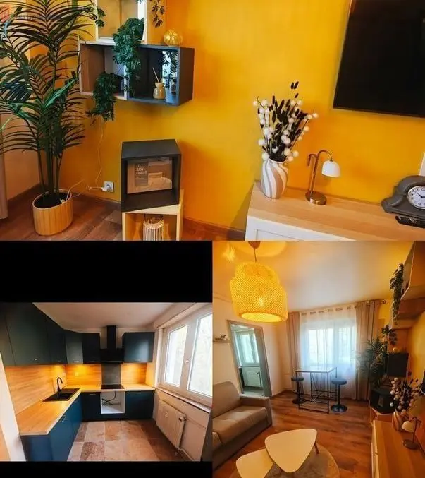 Studio 30m² Saint-Louis 68300 - Meublé, proche frontière - Photo 2