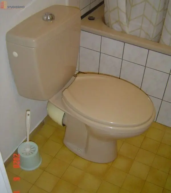Studio meublé 20m² Colmar - Meublé, DPE D - Photo 1