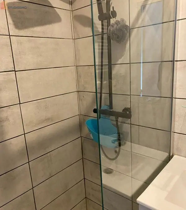 Studio meublé 35m² Morschwiller-le-Bas - Meublé, DPE C - Photo 2