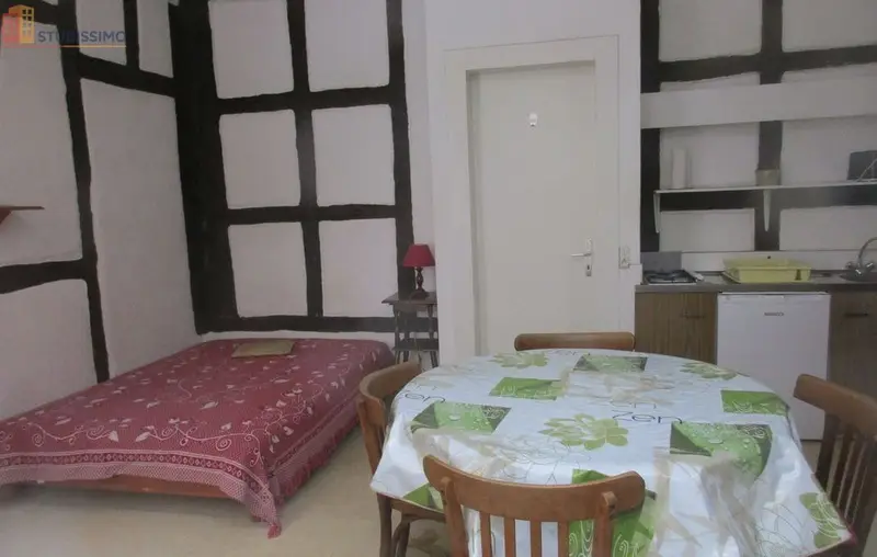 Studio meublé 24m² Colmar 68000 - Étudiant, proche Tanneur - Photo 1
