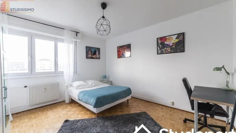 Studio meublé 16m² Strasbourg centre - Lumineux, 9e étage - Photo 1