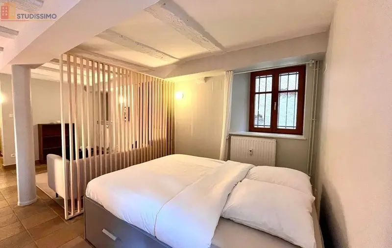 Studio meublé 29m² Saverne centre - Calme, meublé - Photo 2