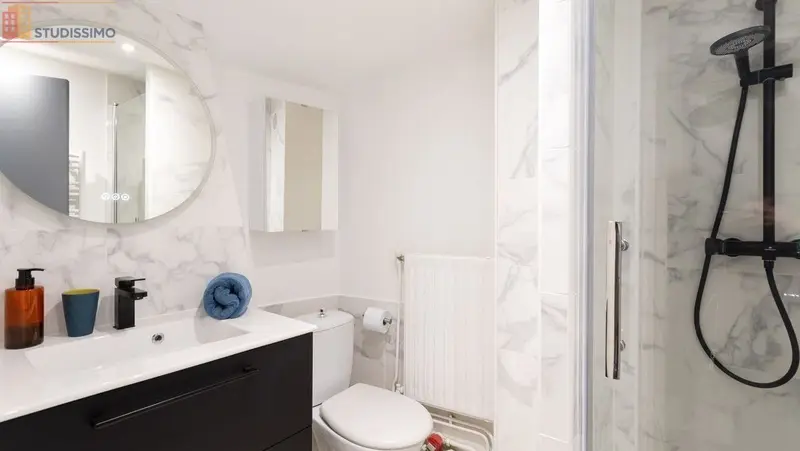 Studio meublé 19m² Clermont-Ferrand 63000 - Entièrement rénové, clim - Photo 1
