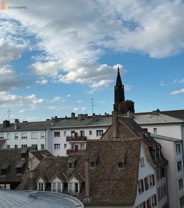 Studio 26m² Strasbourg centre - Meublé, rénové - Photo 1