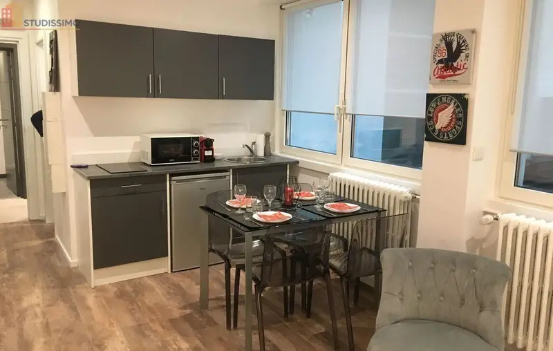 Studio meublé 23m² Strasbourg centre - Calme, hyper centre - Photo 2