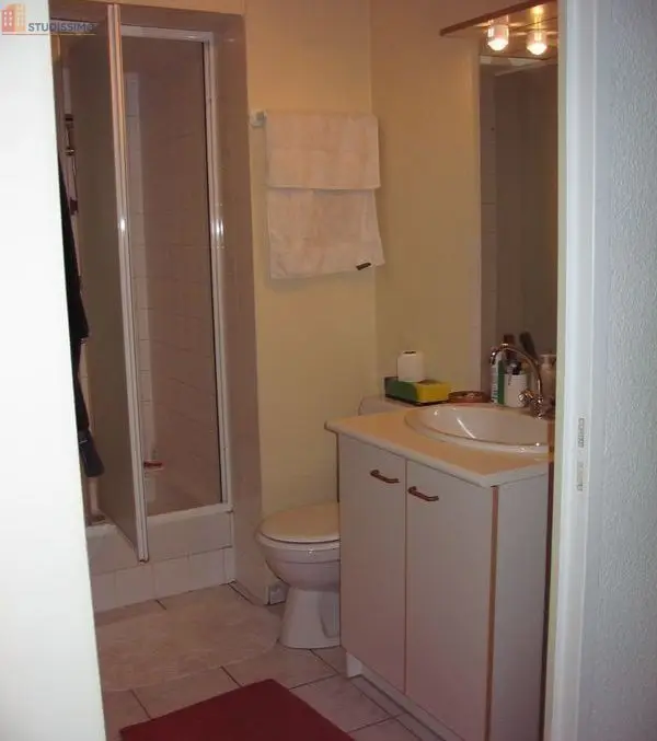 Studio meublé 23m² Clermont-Ferrand 63000 - Centre-ville, lumineux - Photo 1