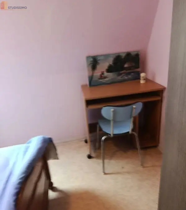 Studio meublé 30m² Schiltigheim - Dernier étage, meublé - Photo 1