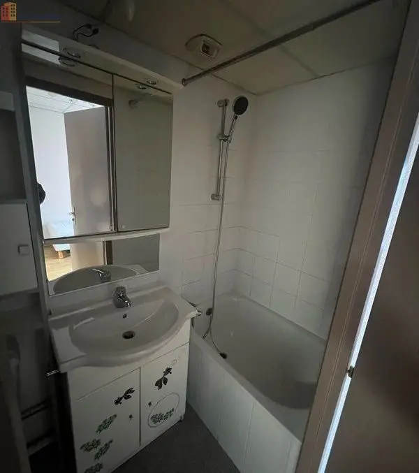 Studio 15m² Illkirch-Graffenstaden - Meublé, proche campus - Photo 1