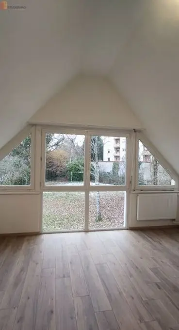 Studio 19m² Saverne - Rénové, cave privative - Photo 1