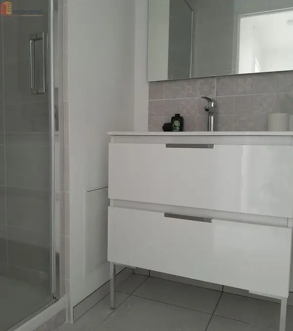 Studio 32m² Champforgeuil - 5e étage, lumineux - Photo 6