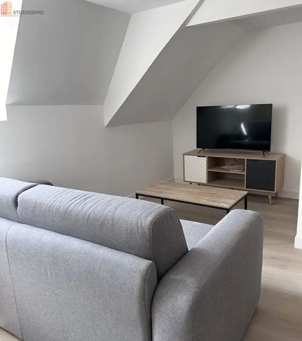 Studio meublé 27m² Le Mans centre - Lumineux - Photo 1