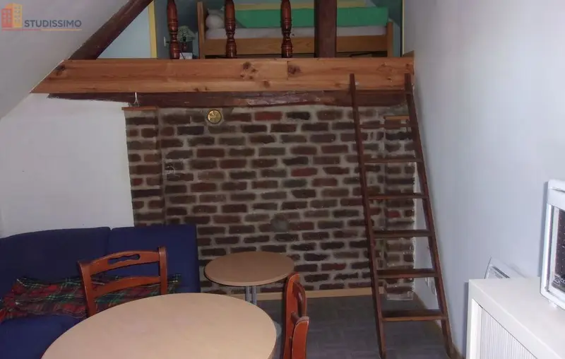 Studio meublé 30m² Brette-les-Pins - Meublé, 1 chambre - Photo 1