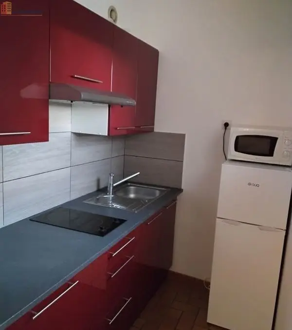 Studio meublé 32m² Oloron-Sainte-Marie - Meublé, 1er étage - Photo 1