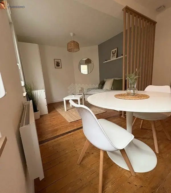 Studio meublé 22m² Le Mans centre - Lumineux - Photo 6