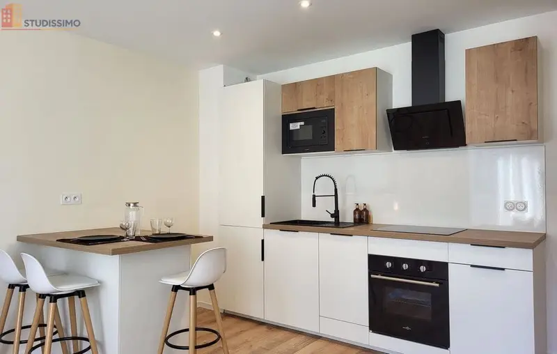 Studio meublé 32m² Pau centre - Lumineux, entièrement rénové - Photo 5