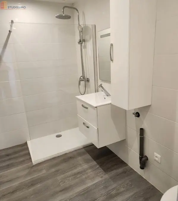 Studio 40m² Sauveterre-de-Béarn - Meublé, lumineux - Photo 3