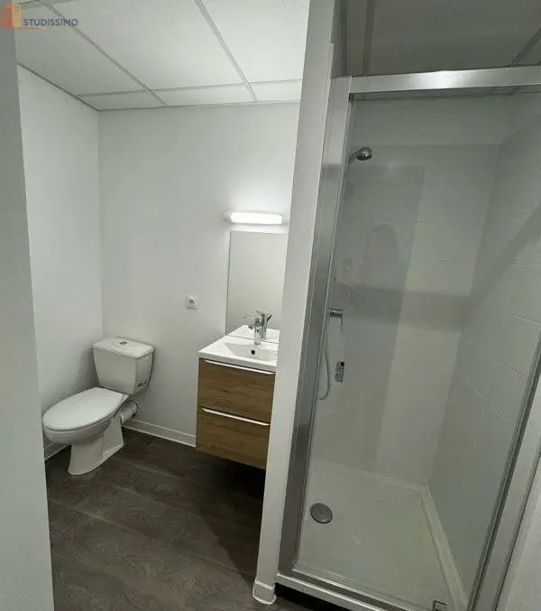 Studio meublé 18m² Le Mans centre - Idéal étudiant, lumineux - Photo 3