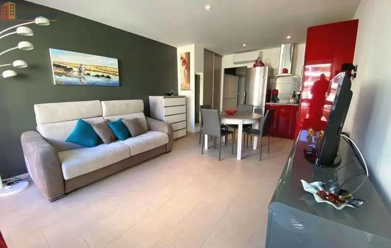 Studio 27m² Le Grau-du-Roi - DPE C - Photo 8