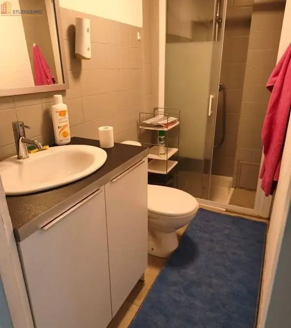 Studio meublé 45m² Grand-Aigueblanche - Meublé, DPE D - Photo 2