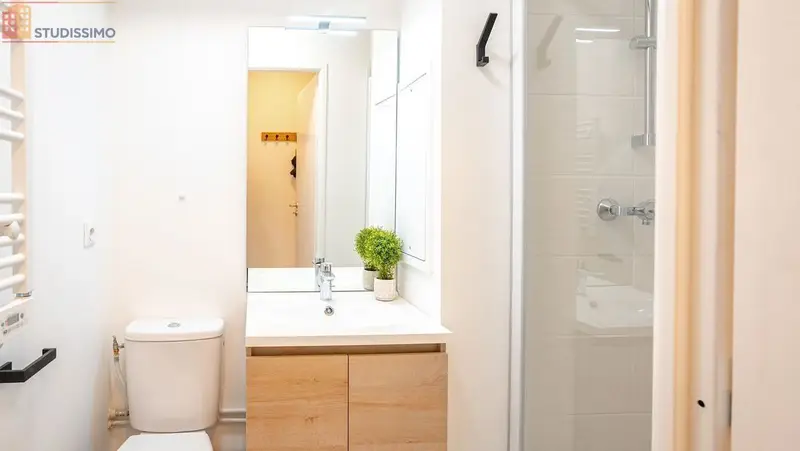 Studio 20m² Chambéry centre - Meublé, proche gare - Photo 4