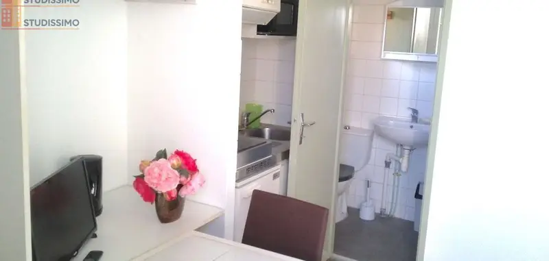 Studio meublé 15m² Aix-les-Bains 73100 - Plein sud, proche gare - Photo 4