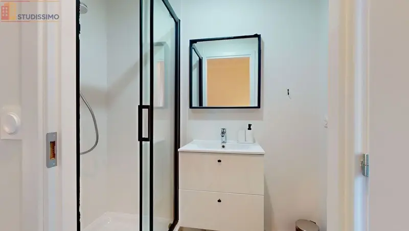 Studio meublé 15m² Annemasse - Meublé, 2e étage - Photo 4
