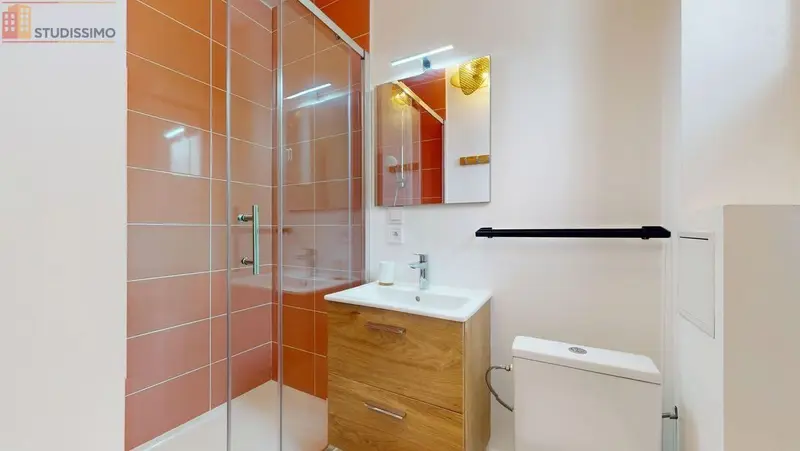 Studio meublé 19m² Ambilly - Meublé, lumineux - Photo 5