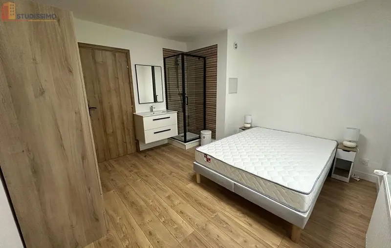 Studio 65m² Annemasse - Spacious, lumineux - Photo 5