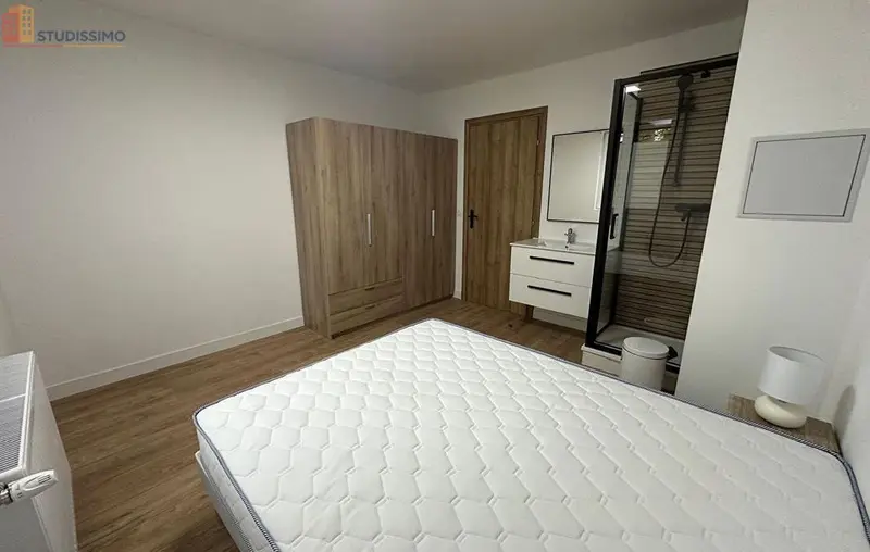 Studio 65m² Annemasse - Spacious, lumineux - Photo 2