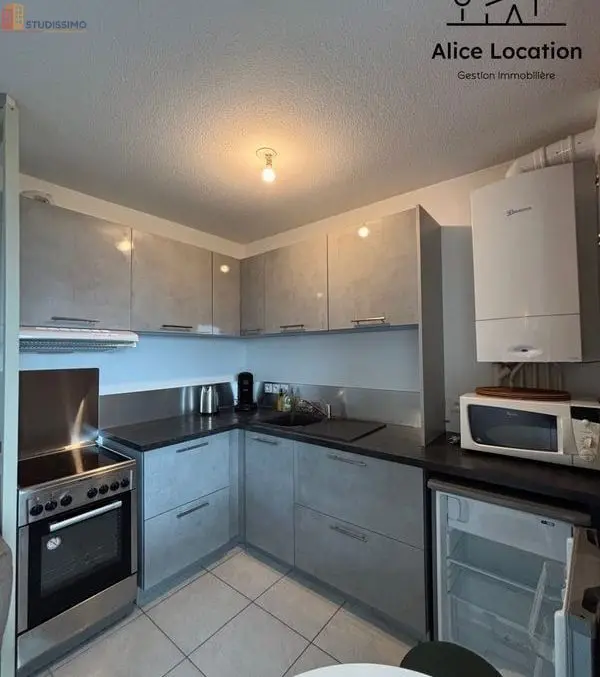 Studio meublé 29m² Évian-les-Bains - Meublé, DPE C - Photo 10