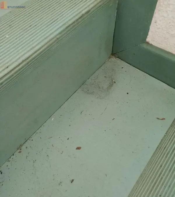 Studio 24m² Cazaubon - Balcon, parking - Photo 1