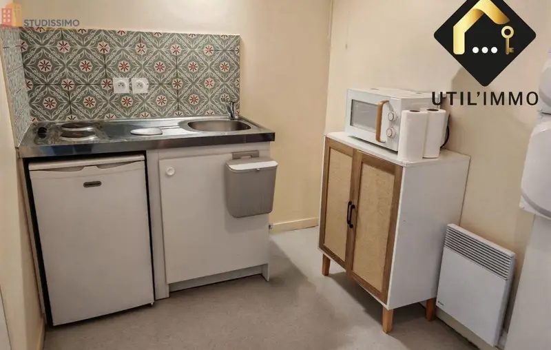 Studio 31m² Villedieu-sur-Indre - Aucun caractère mentionné - Photo 4