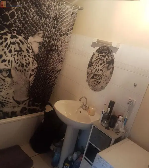 Studio 27m² Bonneville 74130 - Centre-ville, dernier étage - Photo 2