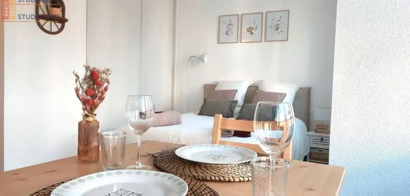 Studio 27m² Annecy centre - Meublé, proche commodités - Photo 5