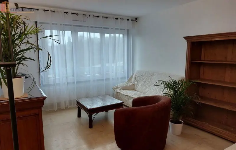 Studio meublé 41m² Saint-Julien-en-Genevois - Grand, étage élevé - Photo 4