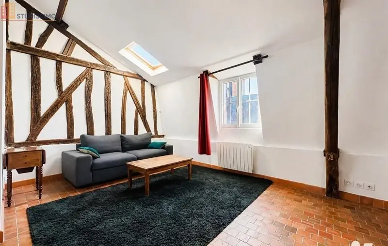 Studio 43m² Tours - lumineux, spacieux - Photo 5