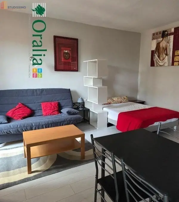 Studio meublé 32m² Lyon 7e - Étage élevé, DPE D - Photo 5