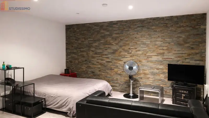Studio 28m² Écully - Meublé, lumineux - Photo 1